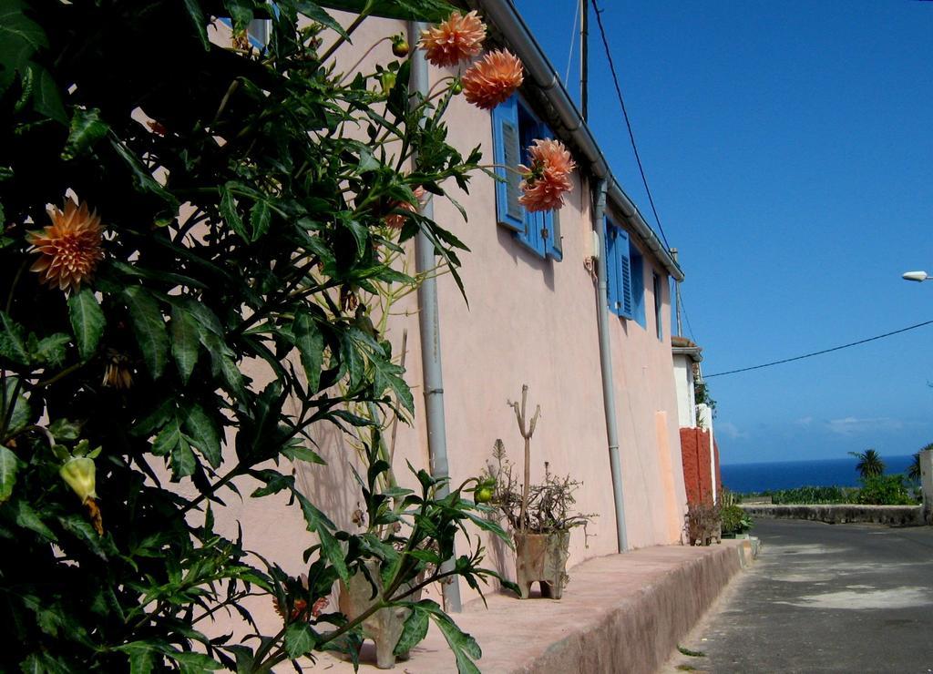 ガラチコ Casa Coronelaヴィラ エクステリア 写真